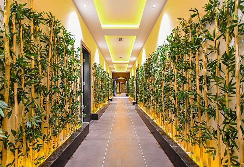 Апартаменты 1+1 в аренду с видом на море в районе Паяллар